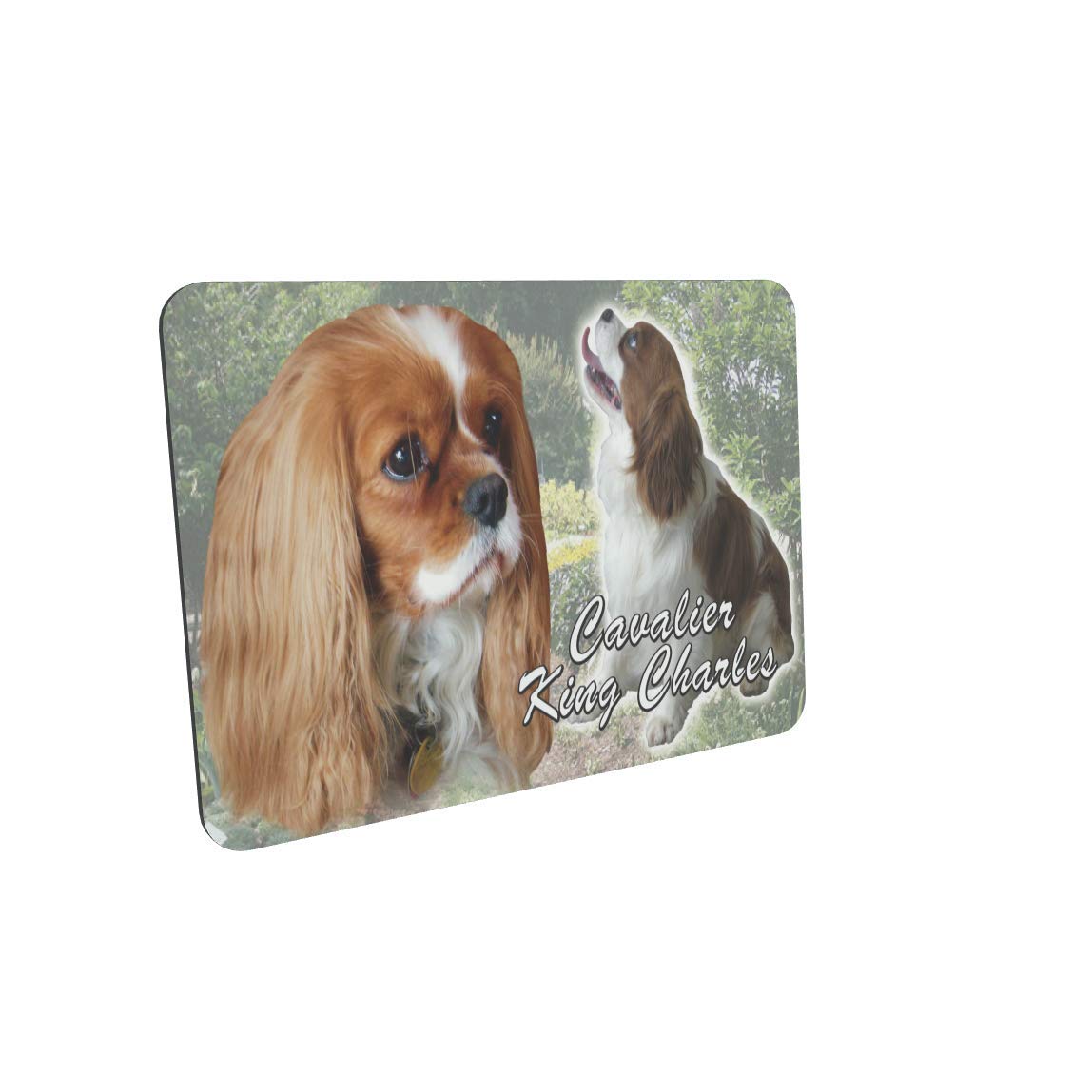 Cavalier King Charles Spaniel Dog Breed Mouse Mat Gift