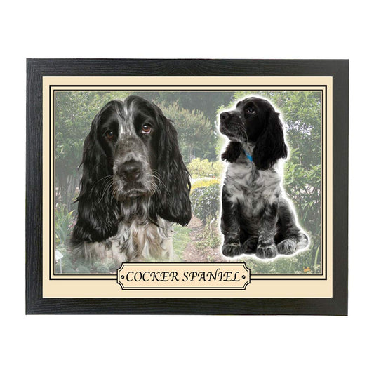 Cocker Spaniel dog breed framed picture gift