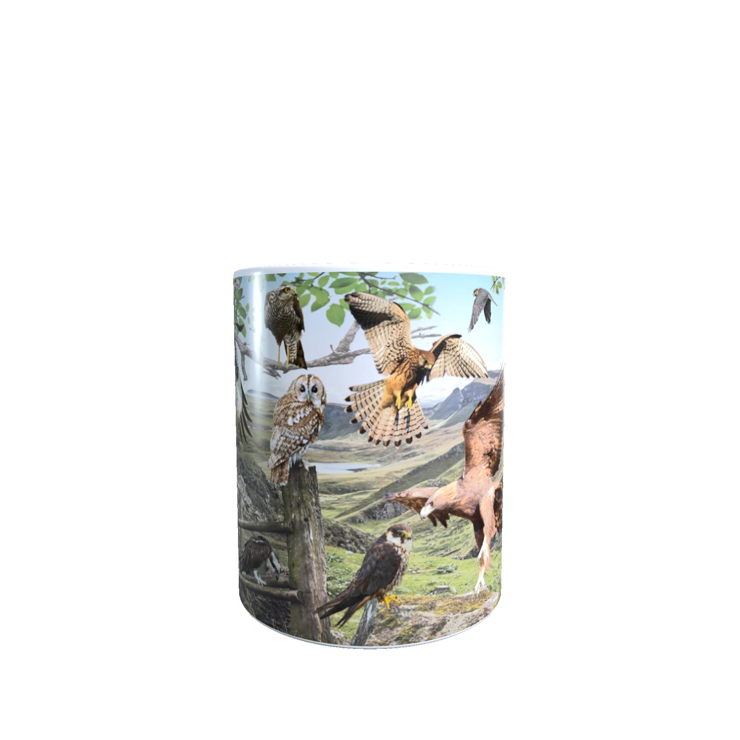 British Bird of Prey Mug Gift