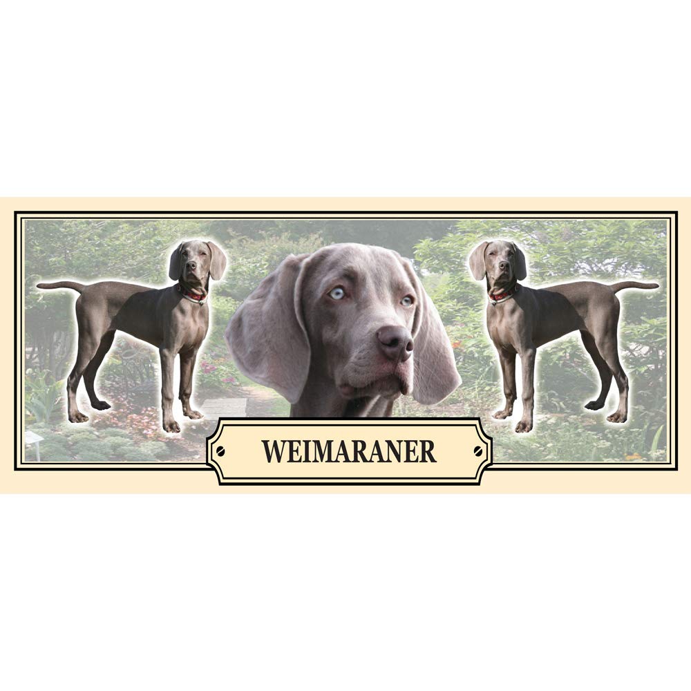 Weimaraner Dog Breed Gift Mug