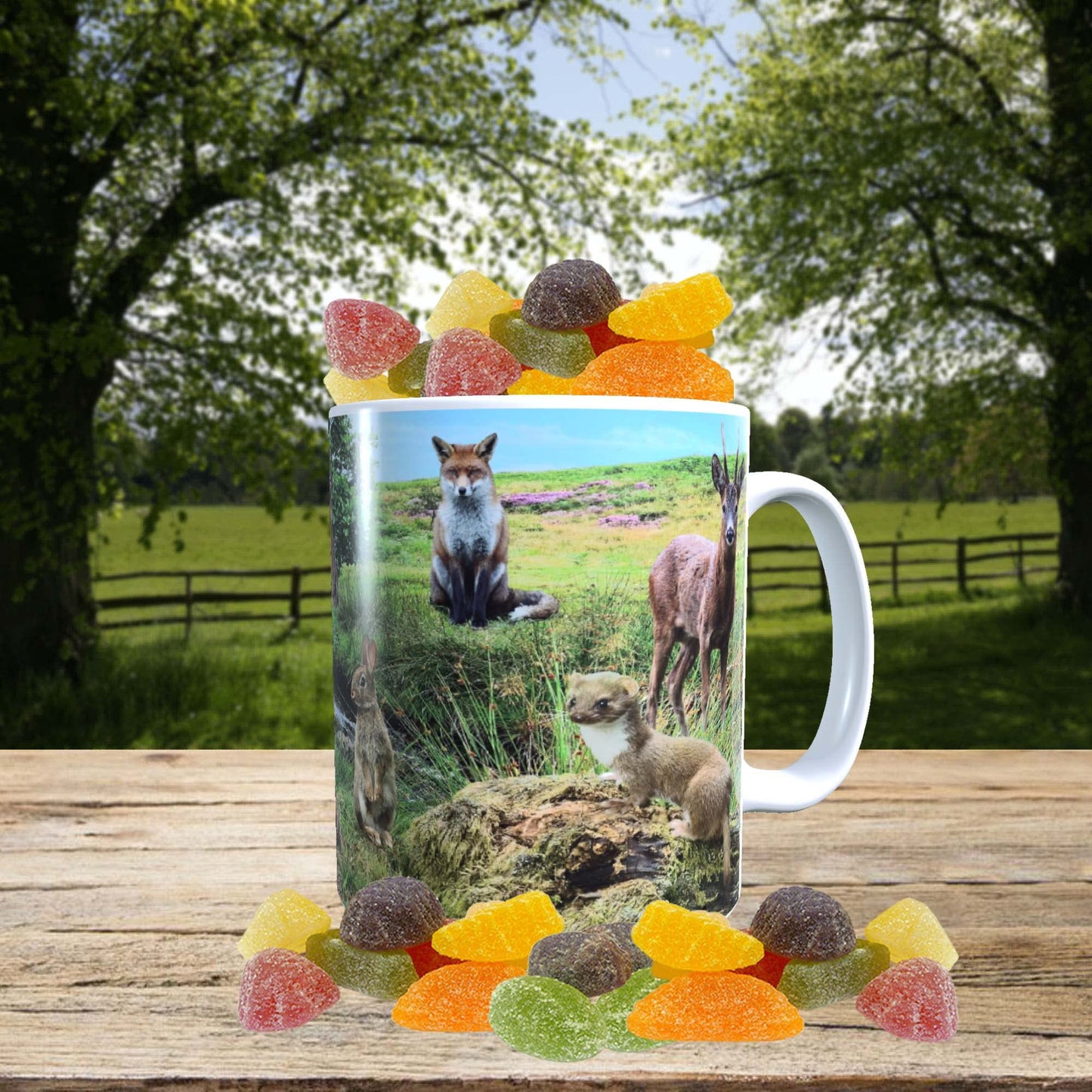 British Countryside Wildlife Animals Mug with Choice of Sweets Gift