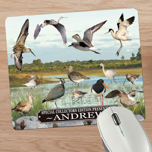 Personalised British Wetland Bird Ornithophile, Birder Mouse Mat Gift
