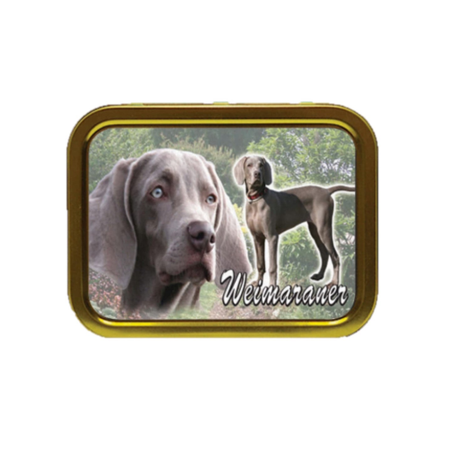 Weimaraner Dog Breed Tobacco Tin & Products Gift