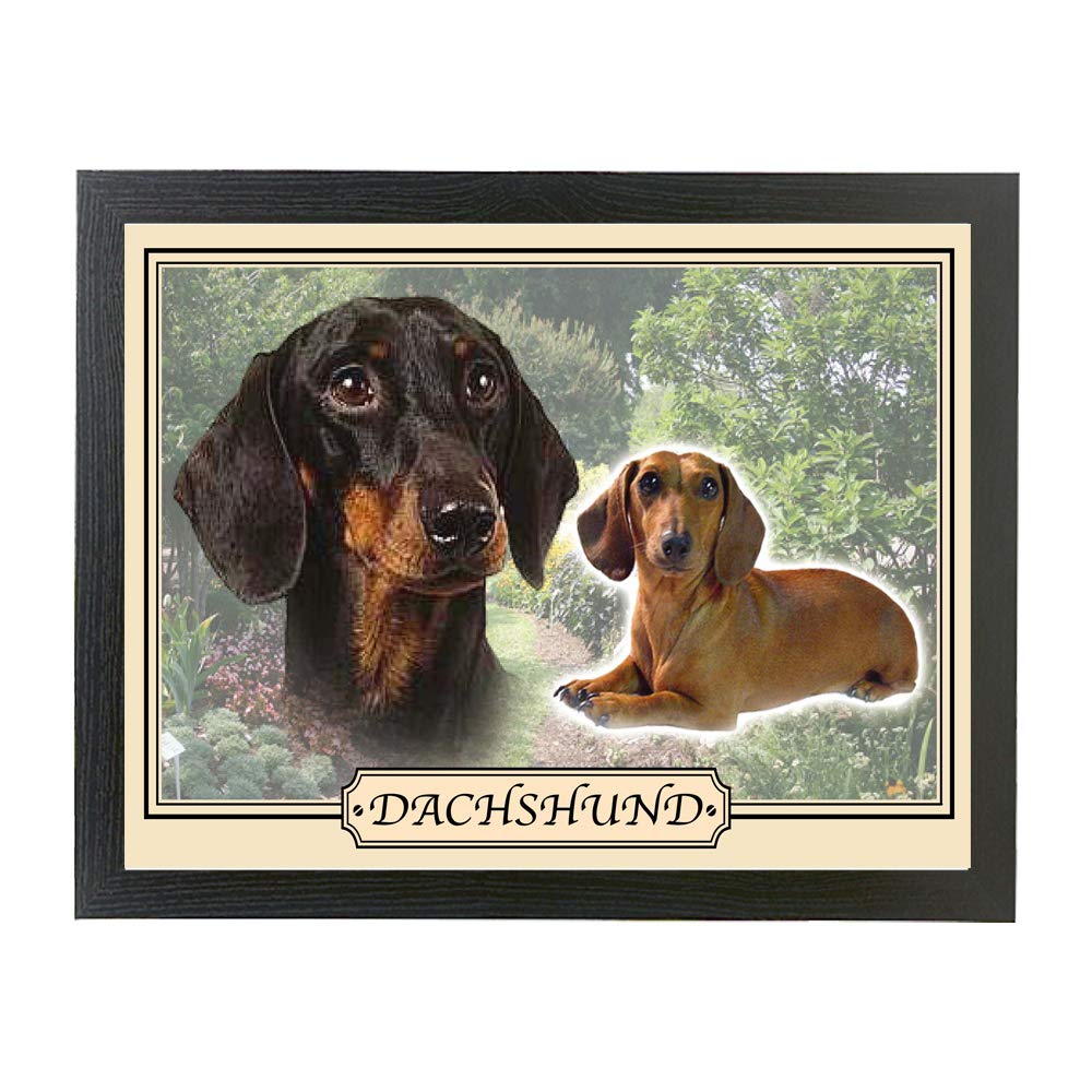 Dachshund Dog Breed Gift Lap Tray
