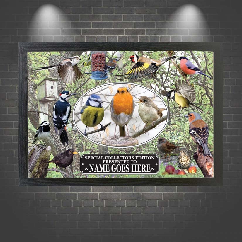British Garden Birds Personalised Framed Wall Hanging Picture Gift