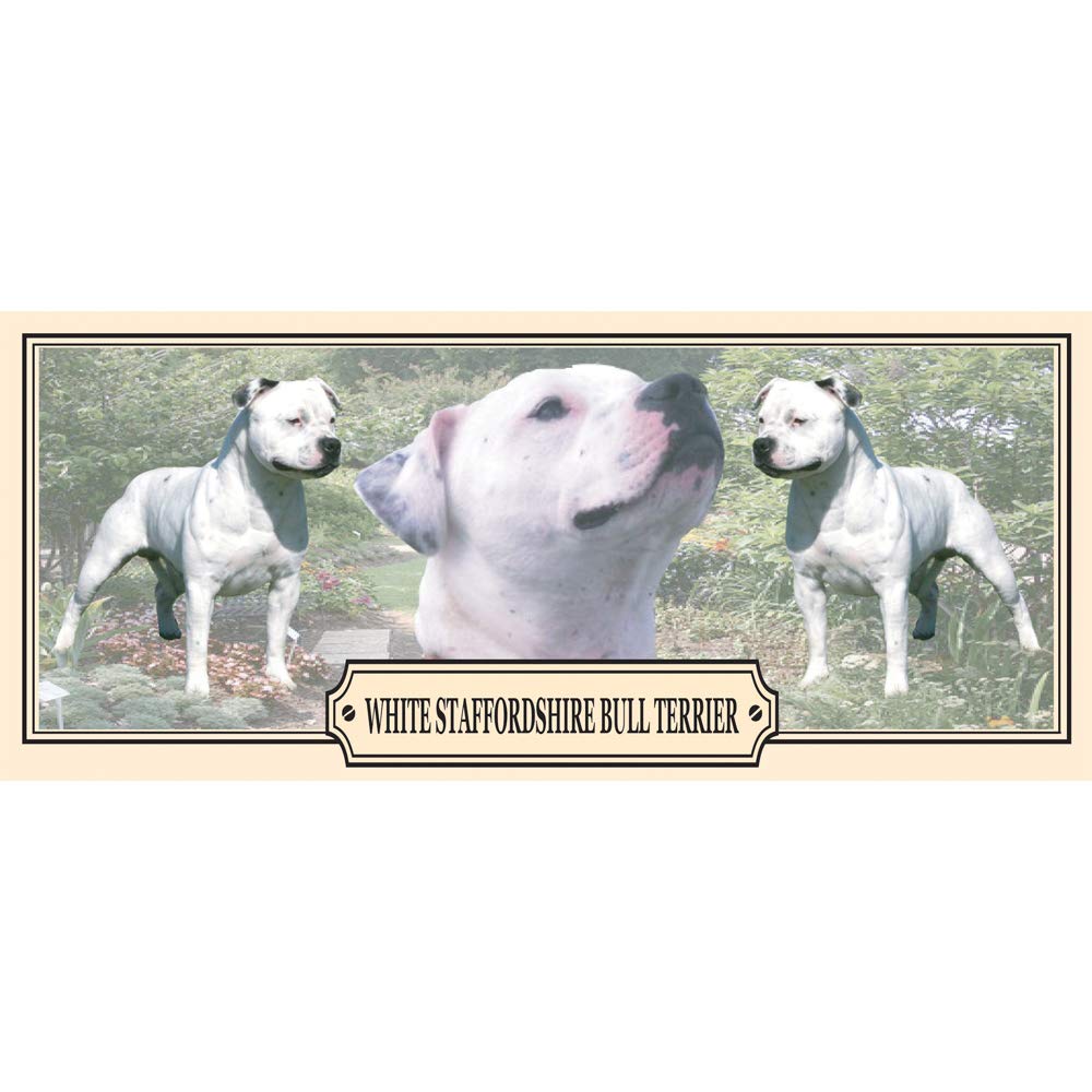 White Staffy Staffordshire Bull Terrier Dog Breed Gift Mug with Treats