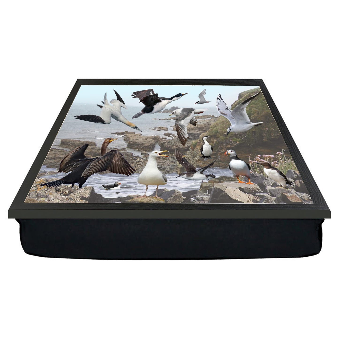Coastal Birds Nature Lap Tray Gift