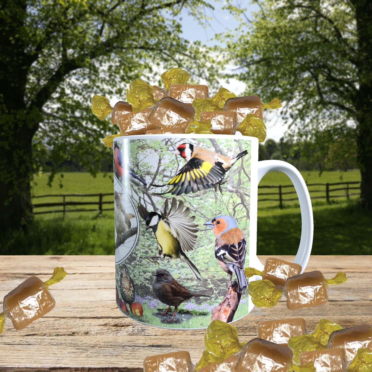 British Garden Birds Mug with Choice of Sweets Gift
