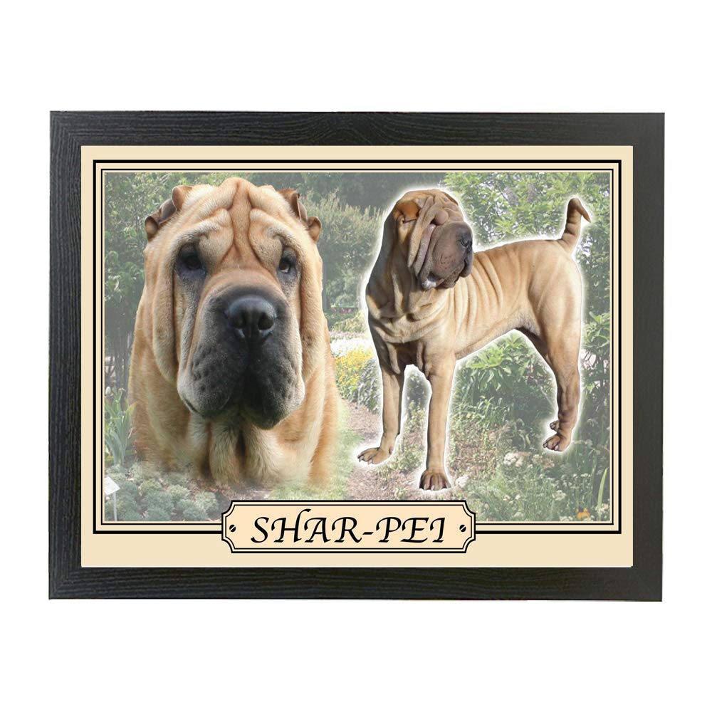 Shar Pei dog breed framed picture gift