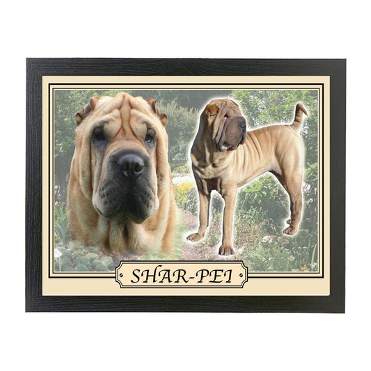 Shar Pei dog breed framed picture gift