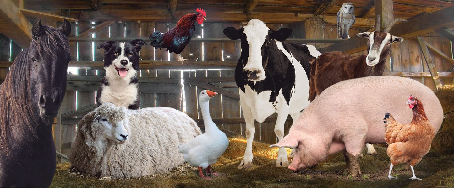 Farm Animals Barn Gathering Mug Gift