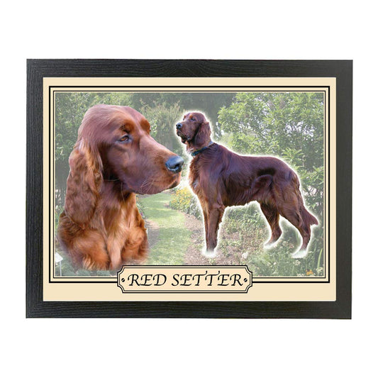 Red Setter dog breed framed picture gift