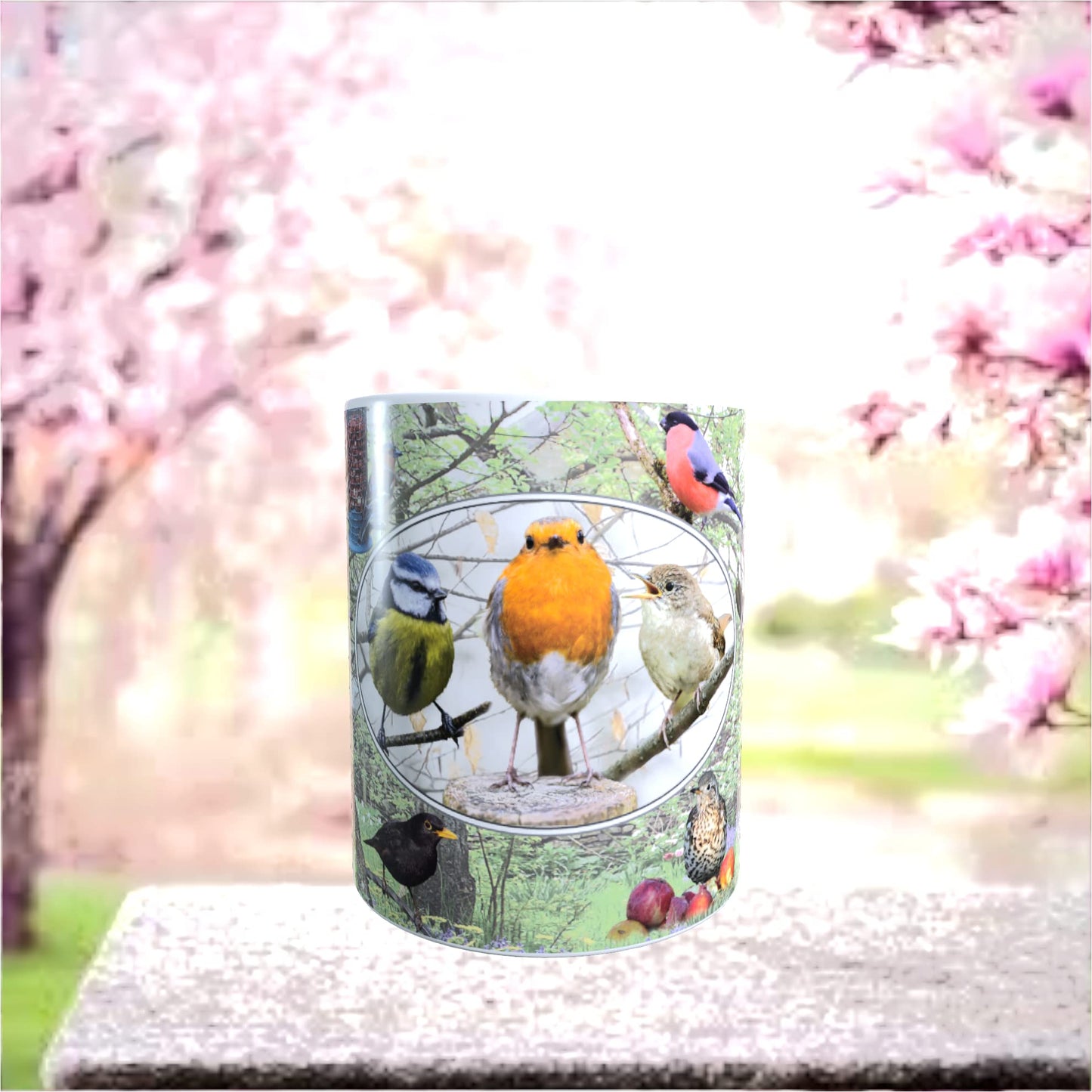British Garden Birds Mug Gift