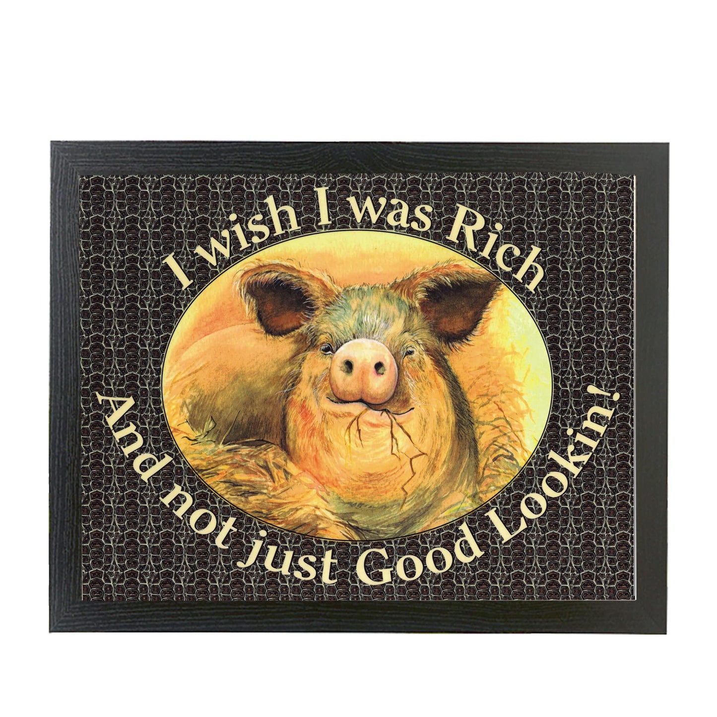 I Wish I Was Rich & Not Just Good Lookin Pig Lap Tray Bean Bag Cushion Gift