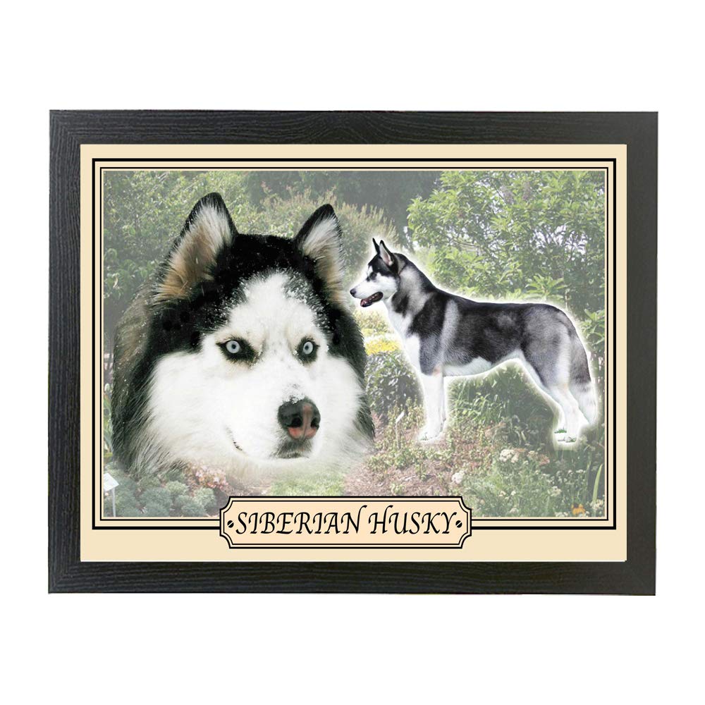 Siberian Husky Dog Breed Gift Lap Tray
